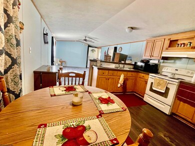 50 Boswell St, Tunnelton, WV 26444 - photo 3