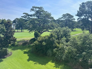 4880 Dahlia Ct unit 304, Myrtle Beach, SC 29577 - photo 3