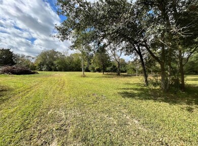 00 Texas County Rd, Manvel, TX 77578 - photo 4