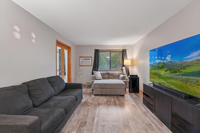 221 Grand Ave W unit 306, South Saint Paul, MN 55075 - photo 4