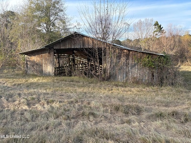 824 Ratliff Ferry Rd, Canton, MS 39046 - photo 6