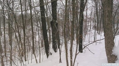 0 - Lot 213 Sleepy Hollow Rd, Athens, NY 12015 - photo 4