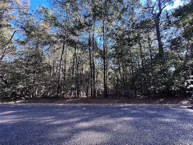 lot 16 Hackberry Dr, Wildwood, TX 77625 - photo 3