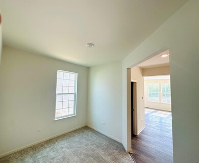 11110 Michigan Place, Crown Point, IN 46307 - photo 6