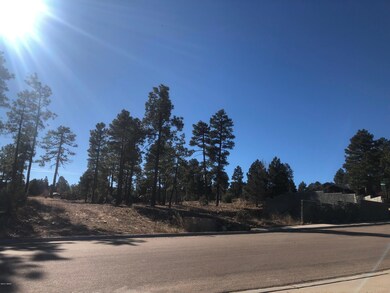 Tract D S White Mountain Rd, Show Low, AZ 85901 - photo 3