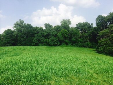 211 Hanna Rd, Prospect, TN 38477 - photo 3