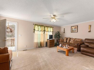 3 Glen View Rd, Arden, NC 28704 - photo 6