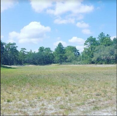 20 Stokesia Ct, Homosassa, FL 34446 - photo 3