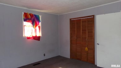 708 W Poplar St, Harrisburg, IL 62946 - photo 6