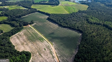 0 Twin Forks Rd unit TRACT 2 10586435, Statesboro, GA 30458 - photo 5