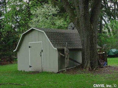 Shed