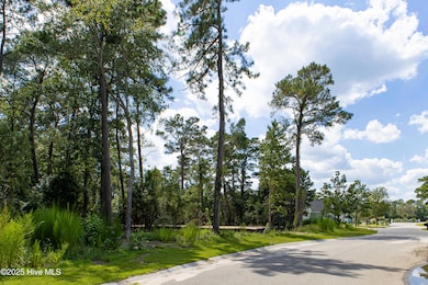 6077 Ocean Isle Palms Way-2