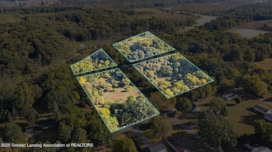 V/L Mill St, Maple Rapids, MI 48853 - photo 2