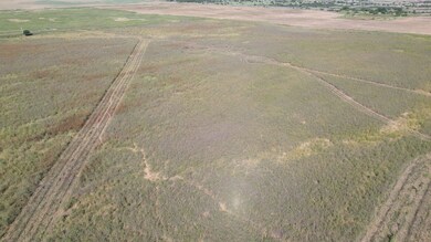 0 Tbd, Thalia, TX 79227 - photo 2