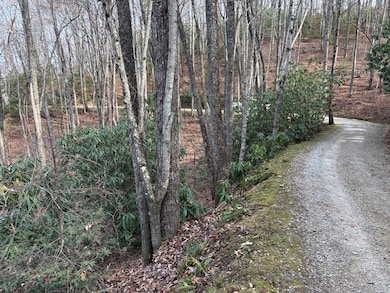 Lot 5 Mt Tabor, Franklin, NC 28781 - photo 2