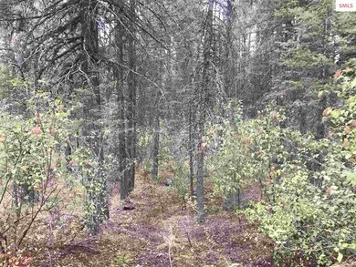 68 Riverview Cir, Sandpoint, ID 83864 - photo 3