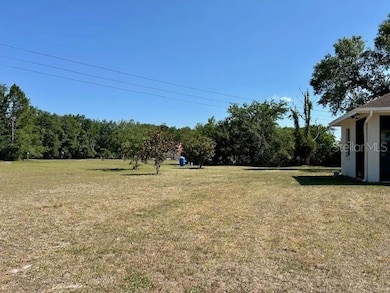 17127 Brown Rd, Odessa, FL 33556 - photo 6