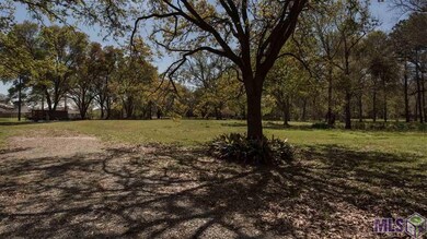 39423 Bon Terre Dr, Gonzales, LA 70737 - photo 3