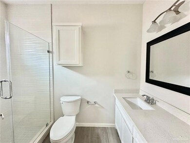 5609 Sandpiper Ave, Mission, TX 78573 - photo 4