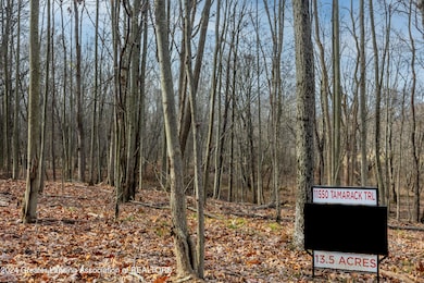 11550 Tamarack Trail, Bath, MI 48808 - photo 5