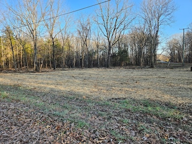 0 Physic Spring Rd, Dillwyn, VA 23936 - photo 7