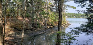 0 Long Island Map 57 Lot 9 unit 1496833, Harpswell, ME 04079 - photo 5