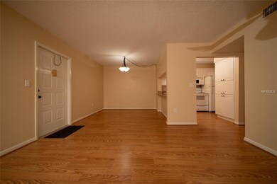 Ground floor freshly painted with easy care floors