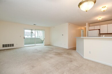 Unit Entry/Living & Dining Rooms
