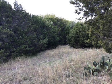 19019 Bluebonnet Dr, Whitney, TX 76692 - photo 3