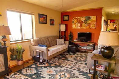 3227 E 7th Ave, Durango, CO 81301 - photo 2