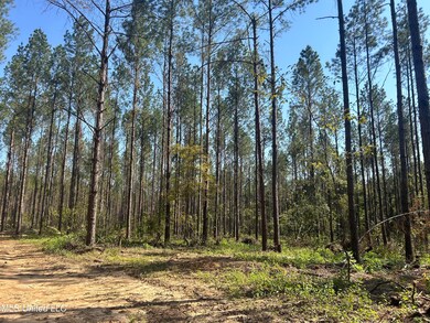 0 Rails Rd, Georgetown, MS 39078 - photo 5