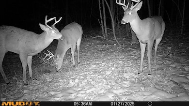 2025-06-17_21-16-21_494