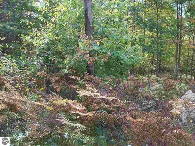 0 Lula Ln unit 52-55 1855604, Alger, MI 48756 - photo 2