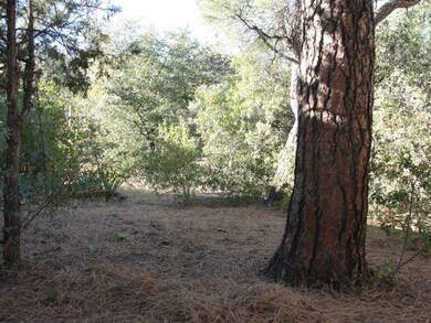 604 N William Tell Cir, Payson, AZ 85541 - photo 5