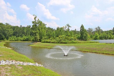 pond