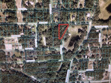 0 SW 136 Terrace unit MFROM697775, Dunnellon, FL 34432 - photo 2