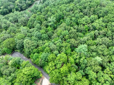 2.27ac River Crest Ln, Mineral Bluff, GA 30559 - photo 7