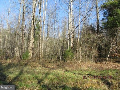 0 Mcduff Rd unit 1003284534, Caroline, VA 22546 - photo 4