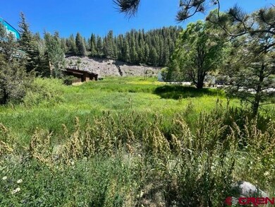 351 E Pagosa St, Pagosa Springs, CO 81147 - photo 4