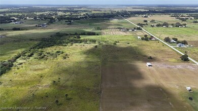 445 Metheny Rd, Wauchula, FL 33873 - photo 6