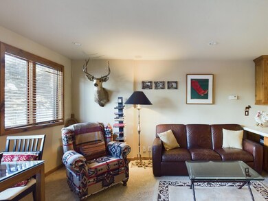 125 Picabo St F7