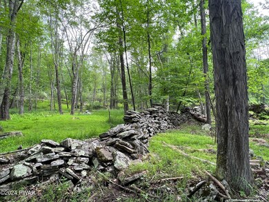 0 Westcolang Rd, Lackawaxen, PA 18435 - photo 3