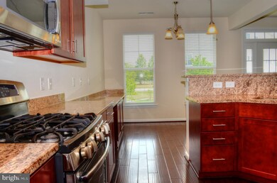 25237 Laureldale Terrace, Chantilly, VA 20152 - photo 7