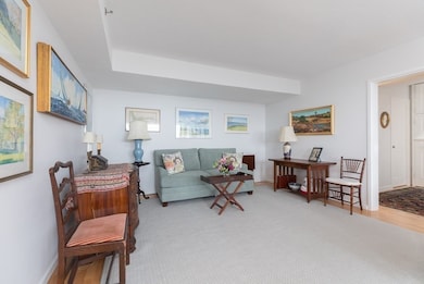 250 Hammond Pond Pkwy unit 1410S, Chestnut Hill, MA 02467 - photo 4