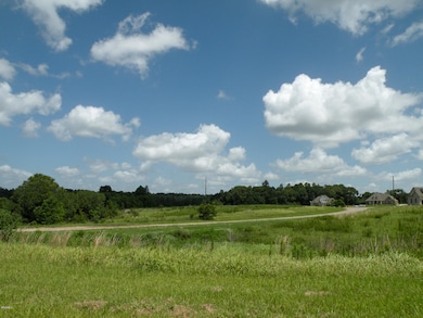 09 Sandra Parker Dr, Lucedale, MS 39452 - photo 6