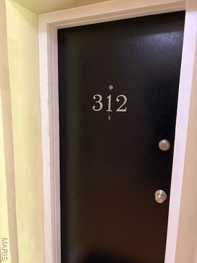 4228 Mcpherson Ave unit 312, Saint Louis, MO 63108 - photo 5