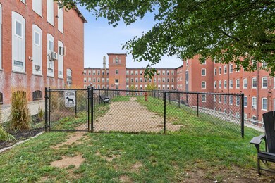 Dog Run & Park