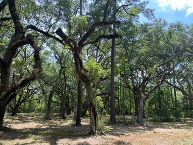 00000 Louisville St, Lacombe, LA 70445 - photo 7