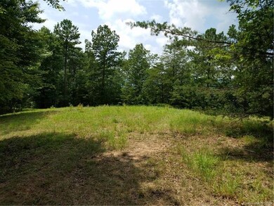 Long range mountain views just beyond the trees