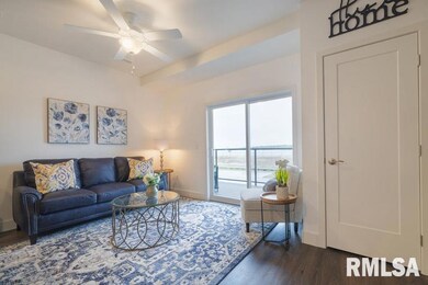 Bend Apartments, East Moline, IL 61244 - photo 5